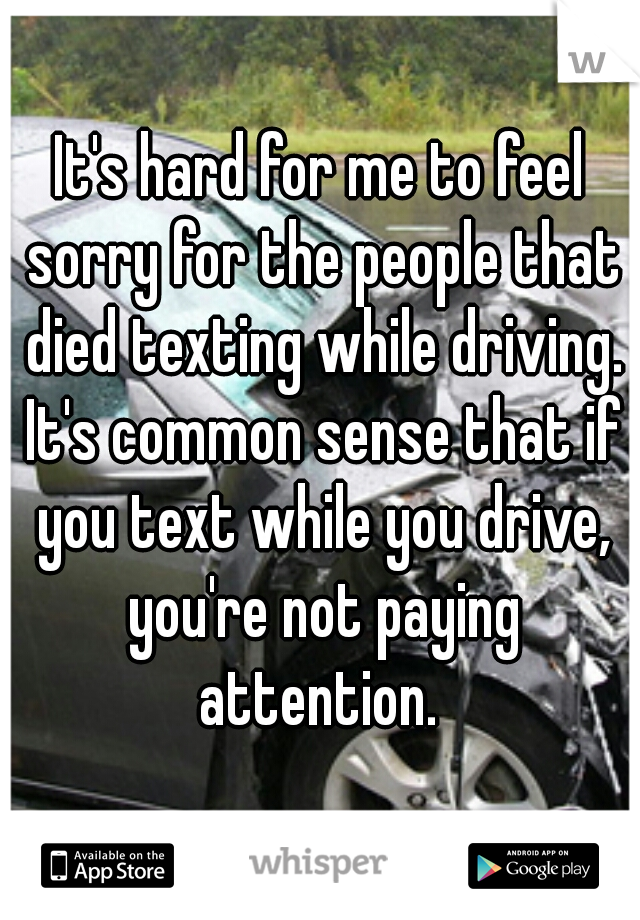 It's hard for me to feel sorry for the people that died texting while driving. It's common sense that if you text while you drive, you're not paying attention. 