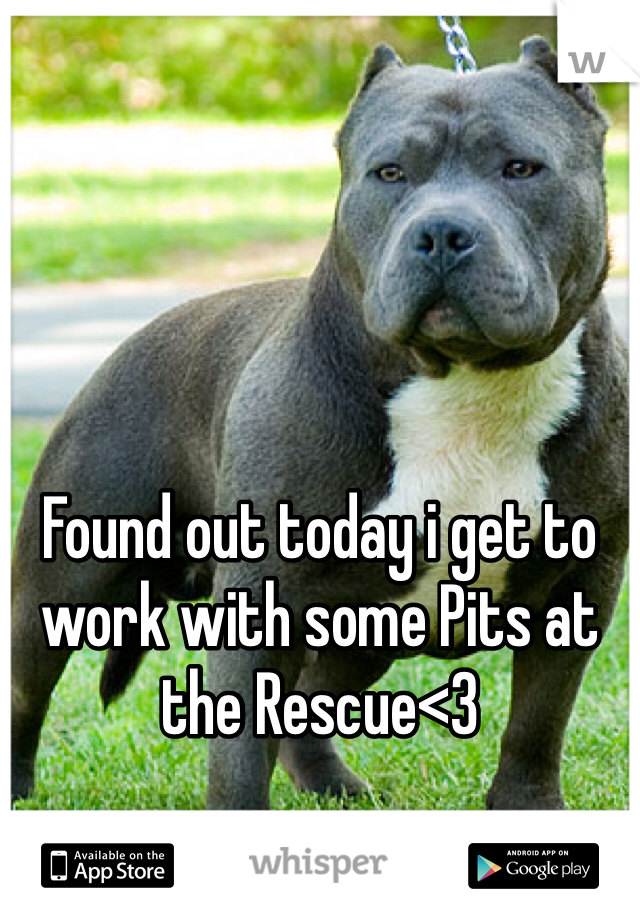 Found out today i get to work with some Pits at the Rescue<3