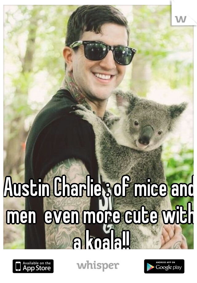 Austin Charlie : of mice and men  even more cute with a koala!!