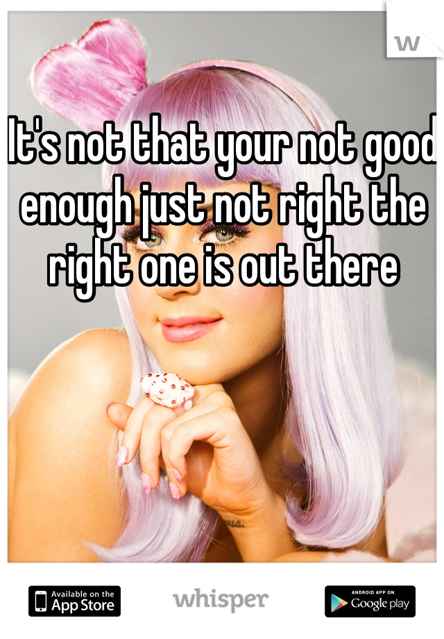 It's not that your not good enough just not right the right one is out there 