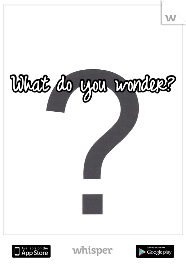 What do you wonder? 