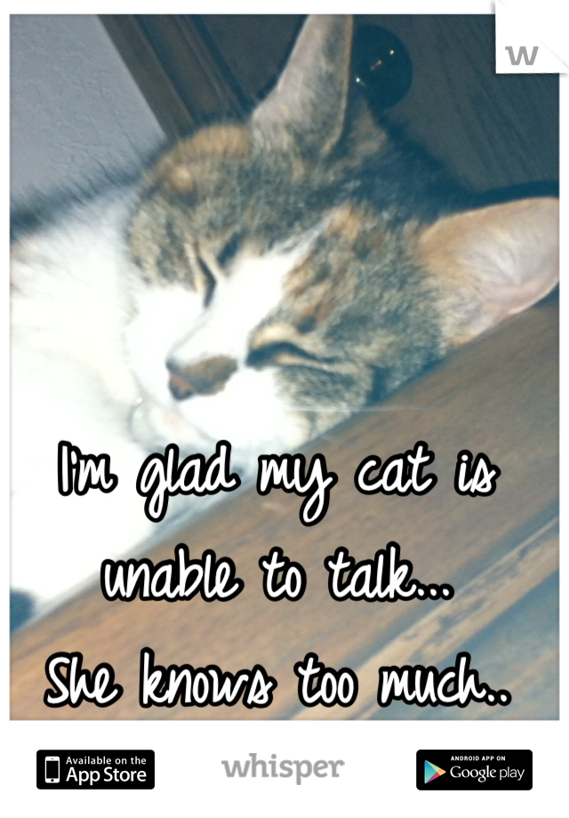 I'm glad my cat is unable to talk...
She knows too much..