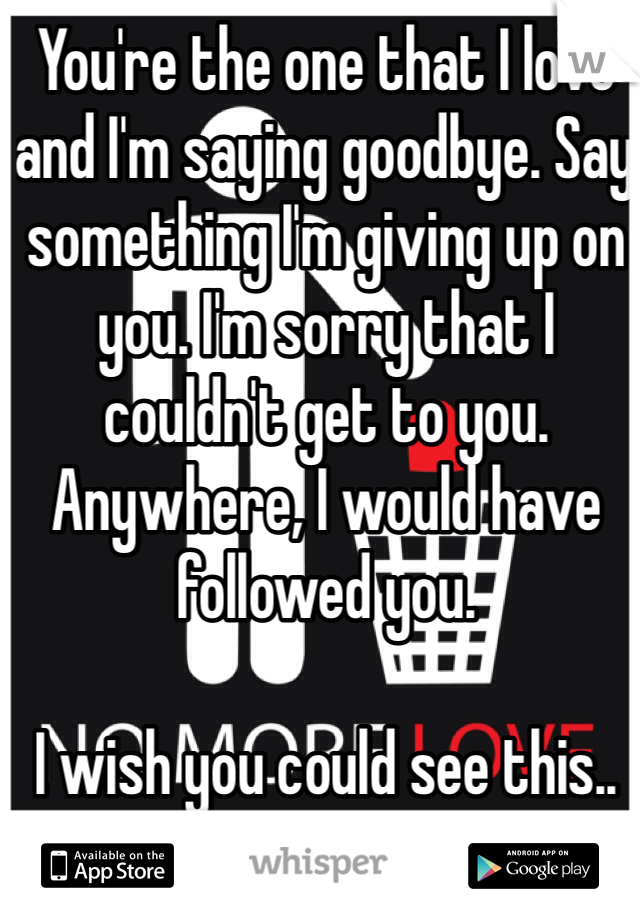 You're the one that I love and I'm saying goodbye. Say something I'm giving up on you. I'm sorry that I couldn't get to you. Anywhere, I would have followed you. 

I wish you could see this.. 