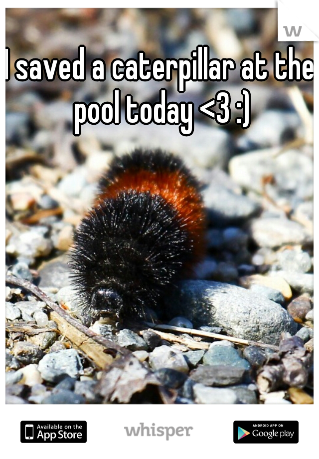 I saved a caterpillar at the pool today <3 :)