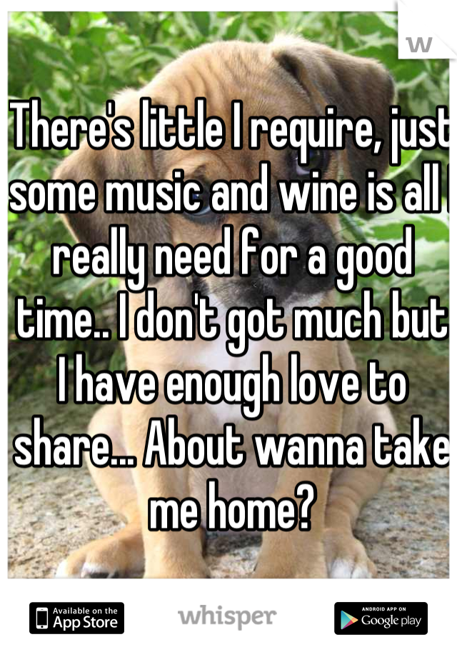 There's little I require, just some music and wine is all I really need for a good time.. I don't got much but I have enough love to share... About wanna take me home?