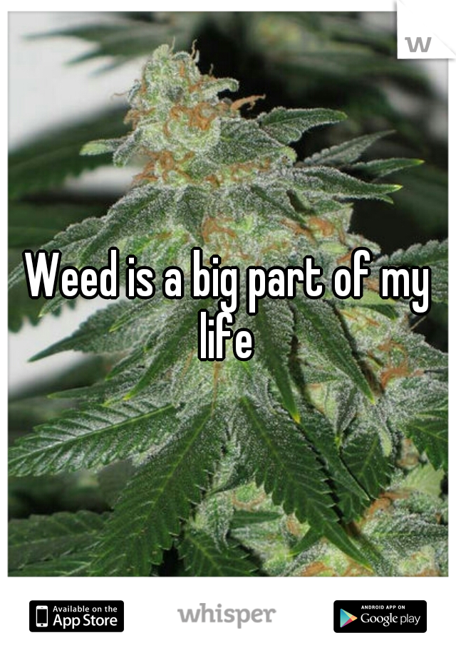 Weed is a big part of my life 