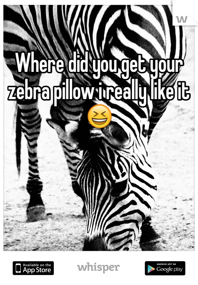Where did you get your zebra pillow i really like it 😆