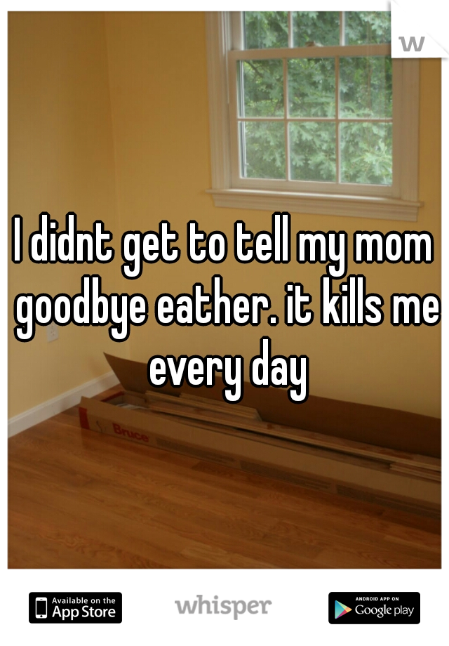 I didnt get to tell my mom goodbye eather. it kills me every day