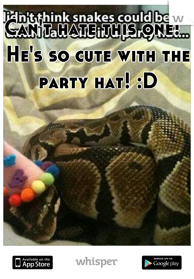 Can't hate this one!  He's so cute with the party hat! :D