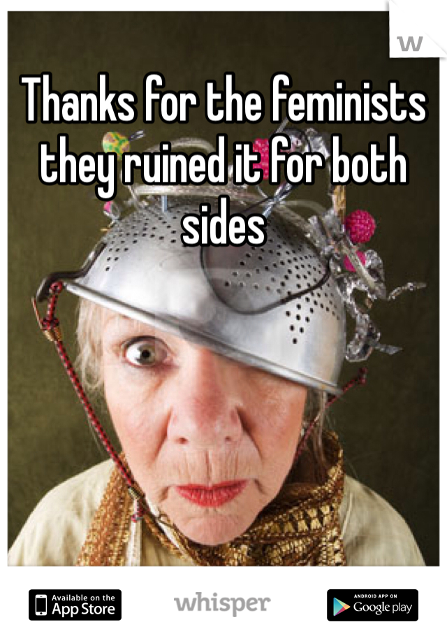 Thanks for the feminists they ruined it for both sides 