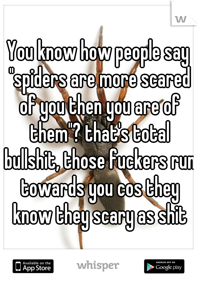 You know how people say "spiders are more scared of you then you are of them"? that's total bullshit, those fuckers run towards you cos they know they scary as shit