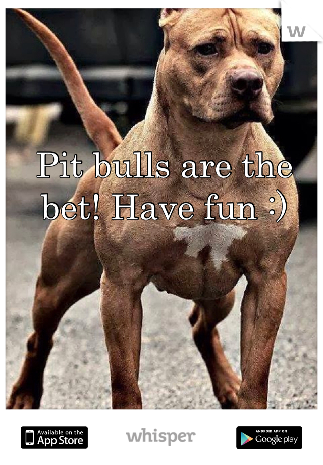 Pit bulls are the bet! Have fun :)