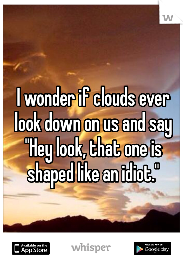 I wonder if clouds ever look down on us and say "Hey look, that one is shaped like an idiot." 