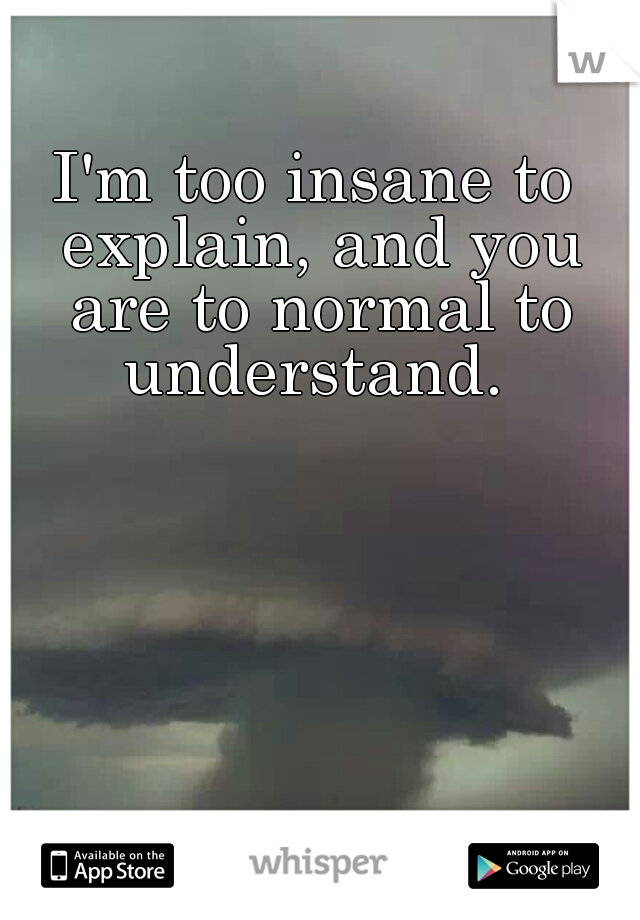 I'm too insane to explain, and you are to normal to understand. 