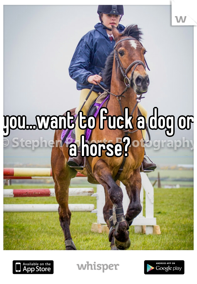 you...want to fuck a dog or a horse?