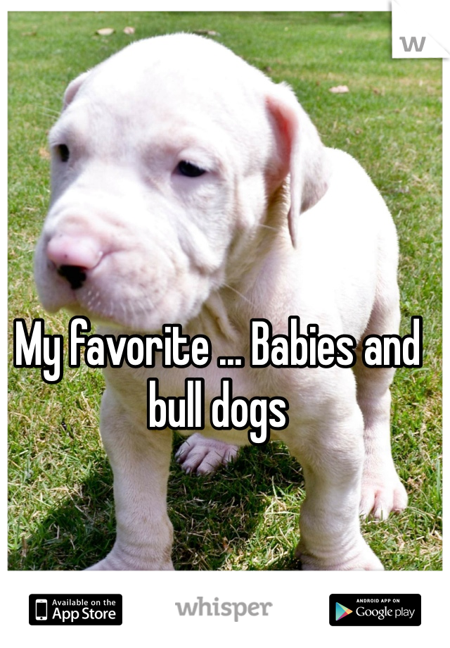 My favorite ... Babies and bull dogs
