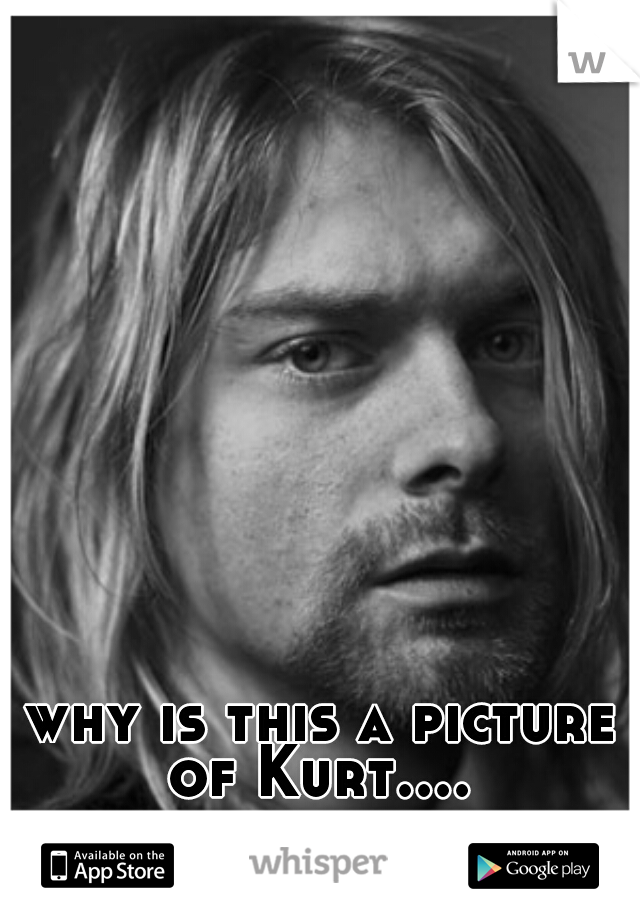 why is this a picture of Kurt.... 
