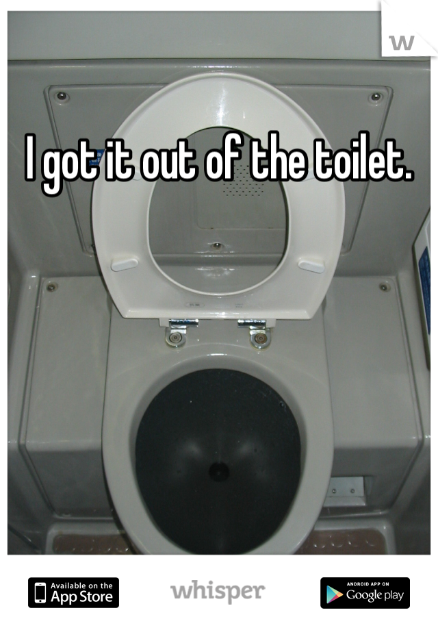 I got it out of the toilet.