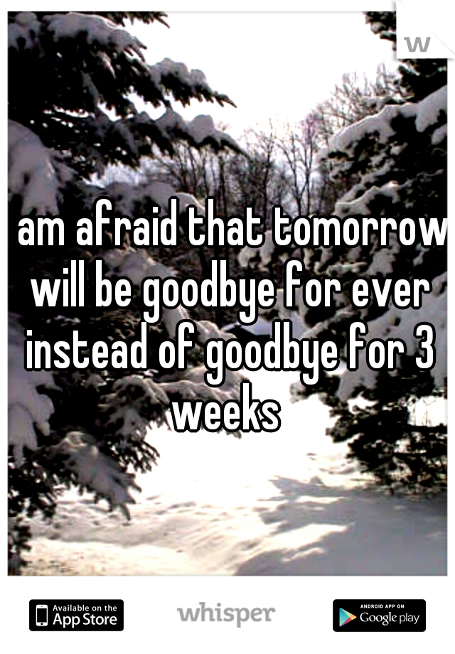 I am afraid that tomorrow will be goodbye for ever instead of goodbye for 3 weeks 