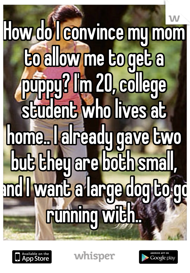 How do I convince my mom to allow me to get a puppy? I'm 20, college student who lives at home.. I already gave two but they are both small, and I want a large dog to go running with.. 