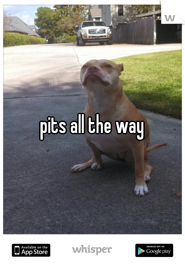 pits all the way