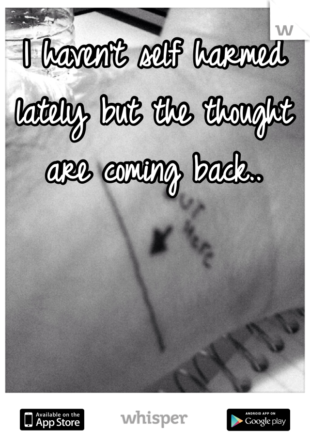 I haven't self harmed lately but the thought are coming back..