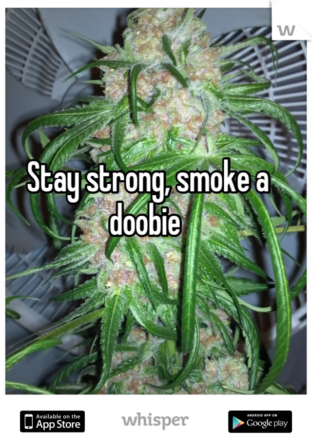 Stay strong, smoke a doobie 