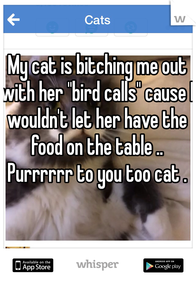 My cat is bitching me out with her "bird calls" cause I wouldn't let her have the food on the table .. Purrrrrr to you too cat . 
