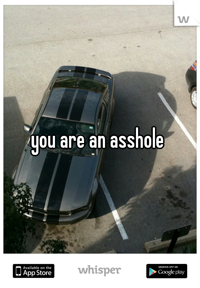 you are an asshole 