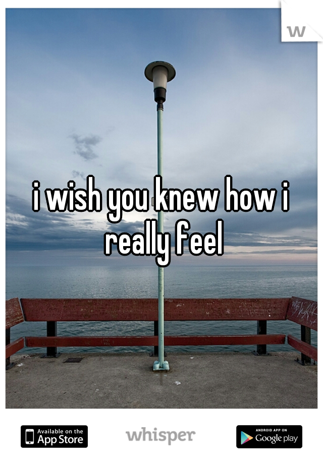i wish you knew how i really feel