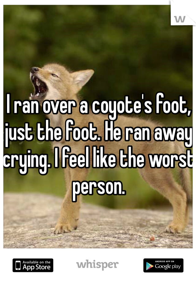 I ran over a coyote's foot, just the foot. He ran away crying. I feel like the worst person.