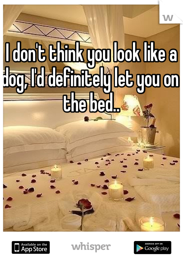 I don't think you look like a dog, I'd definitely let you on the bed..