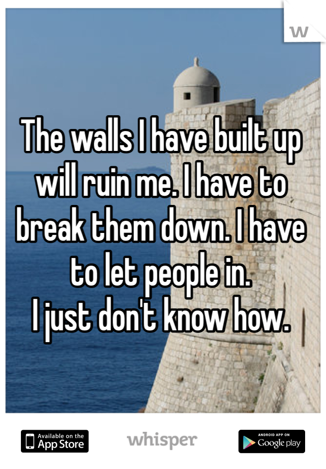 The walls I have built up will ruin me. I have to break them down. I have to let people in. 
I just don't know how. 