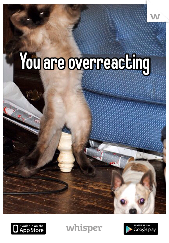 You are overreacting