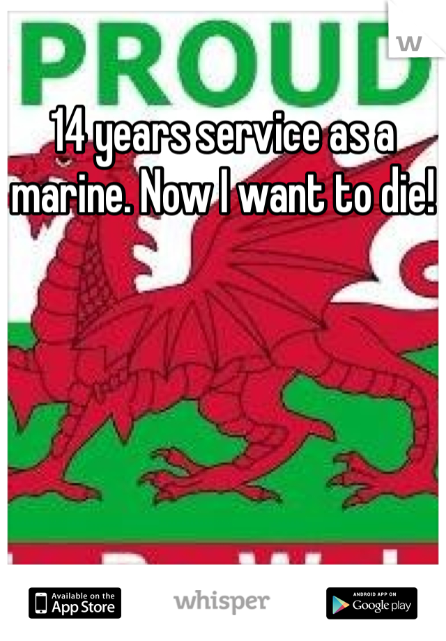 14 years service as a marine. Now I want to die!