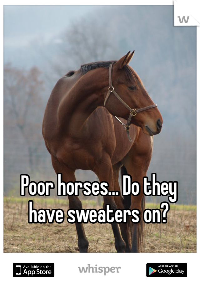 Poor horses... Do they have sweaters on?