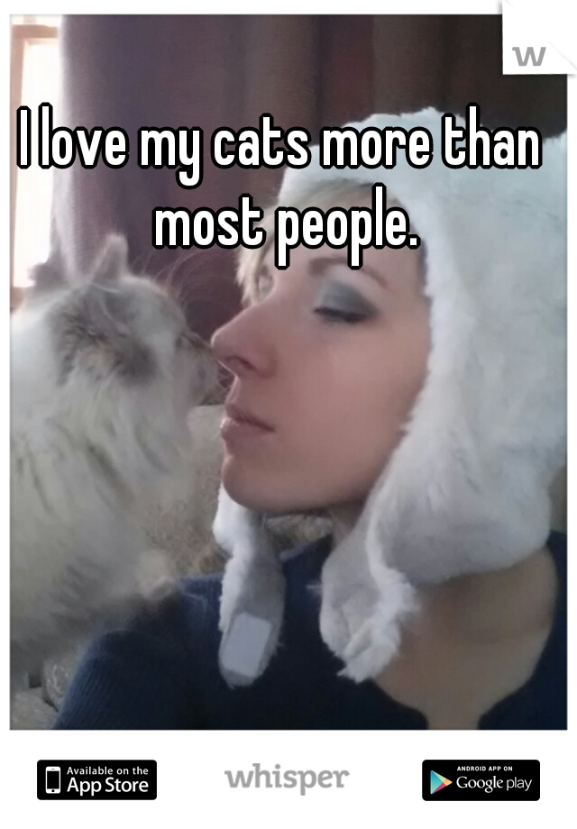 I love my cats more than most people.
