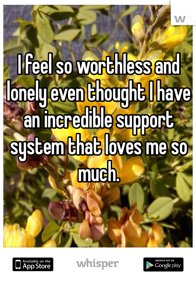 I feel so worthless and lonely even thought I have an incredible support system that loves me so much.  