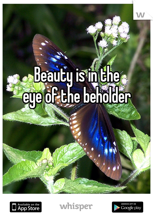 Beauty is in the
eye of the beholder