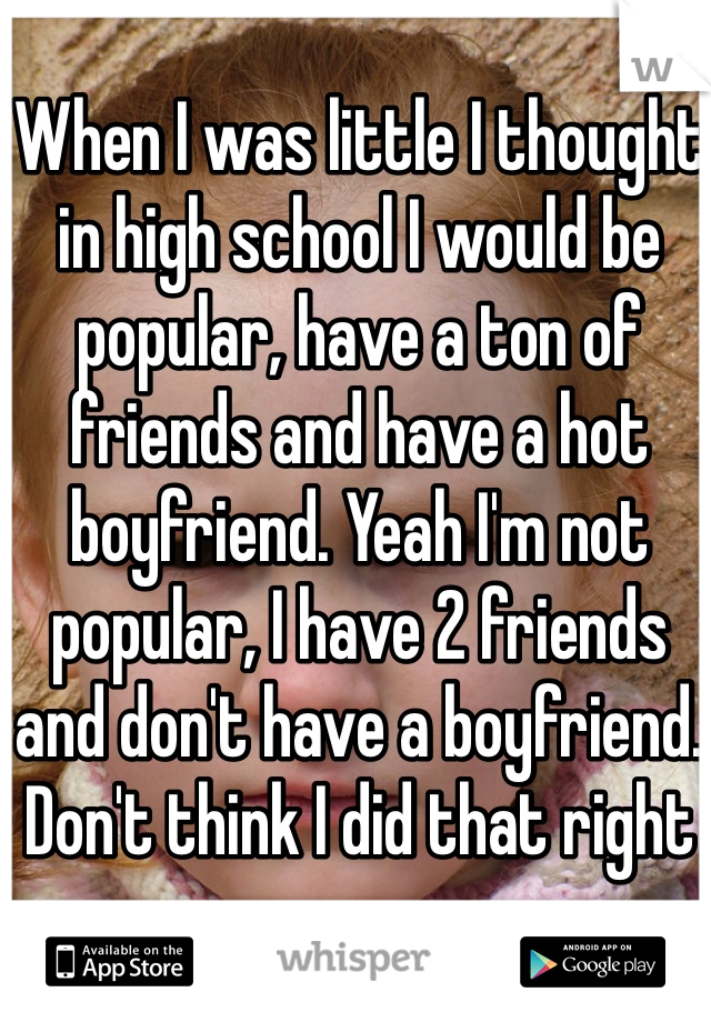 When I was little I thought in high school I would be popular, have a ton of friends and have a hot boyfriend. Yeah I'm not popular, I have 2 friends and don't have a boyfriend. Don't think I did that right