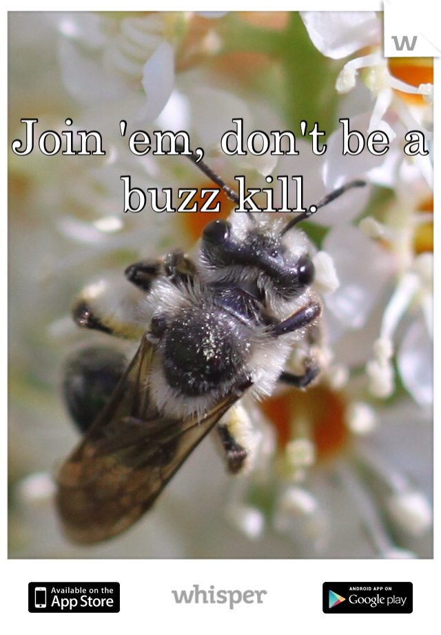 Join 'em, don't be a buzz kill.
