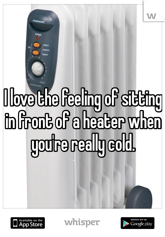 I love the feeling of sitting in front of a heater when you're really cold.
