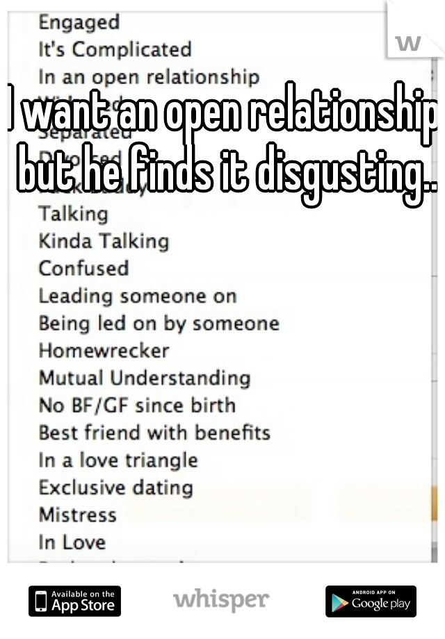 I want an open relationship, but he finds it disgusting...