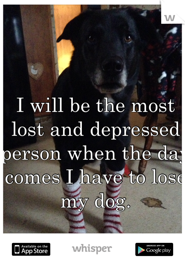 I will be the most lost and depressed person when the day comes I have to lose my dog. 