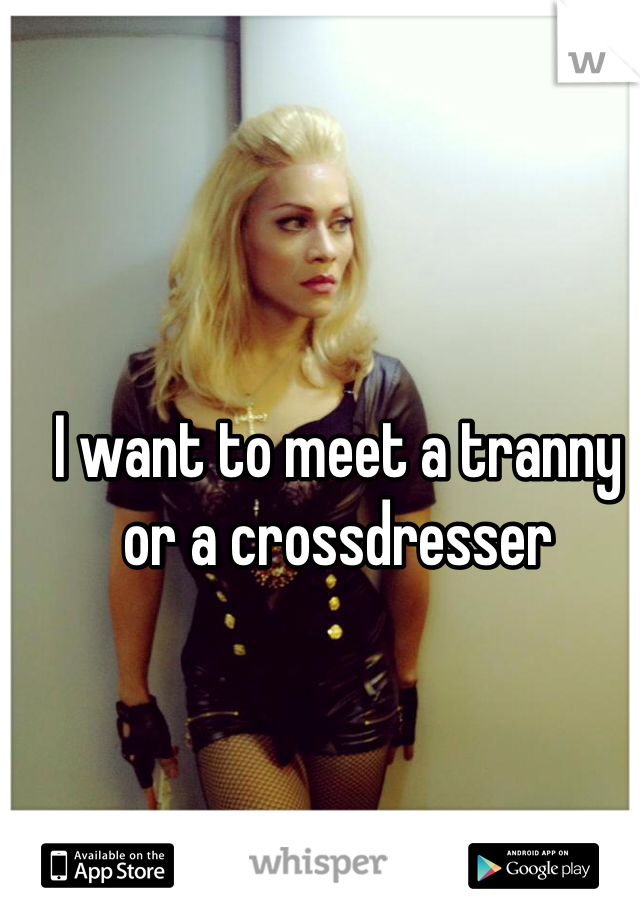 I want to meet a tranny or a crossdresser