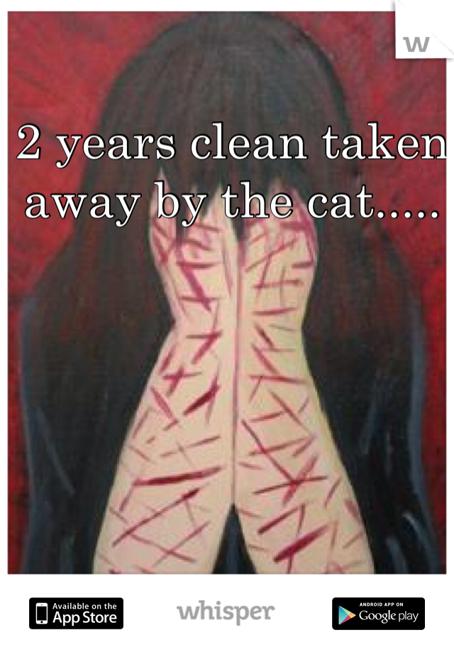 2 years clean taken away by the cat.....