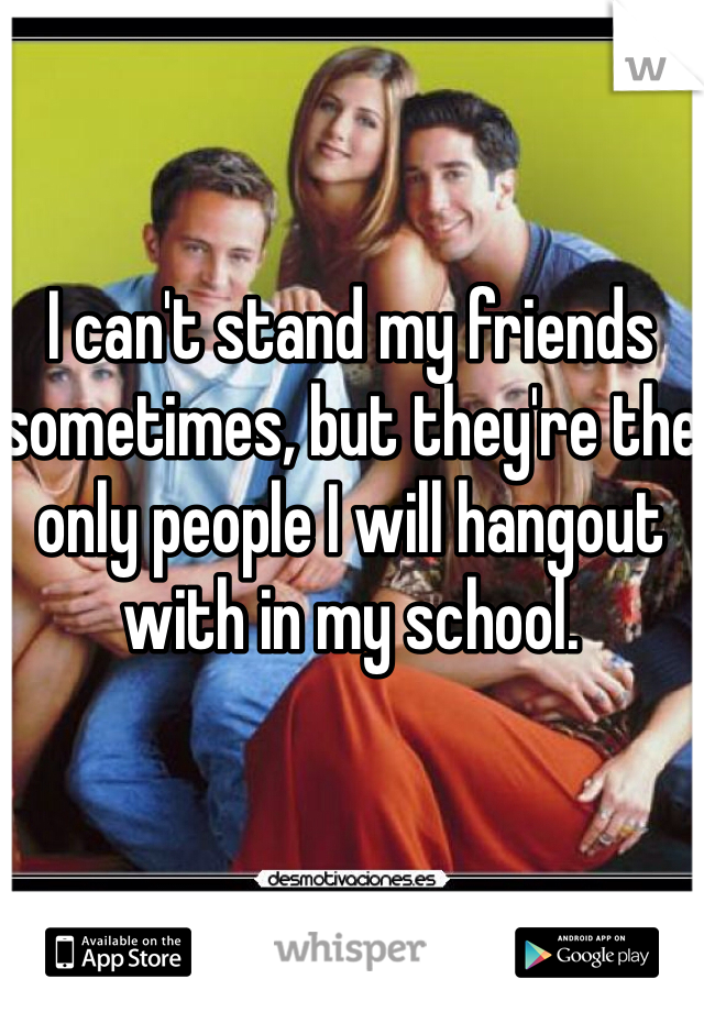 I can't stand my friends sometimes, but they're the only people I will hangout with in my school.