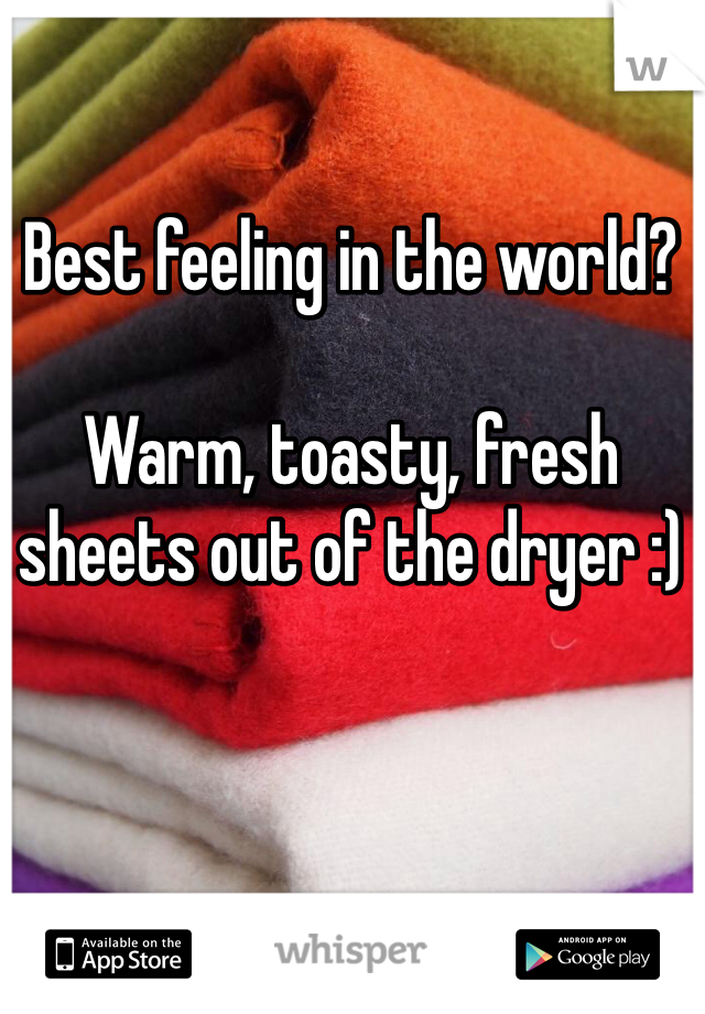 Best feeling in the world? 

Warm, toasty, fresh sheets out of the dryer :) 