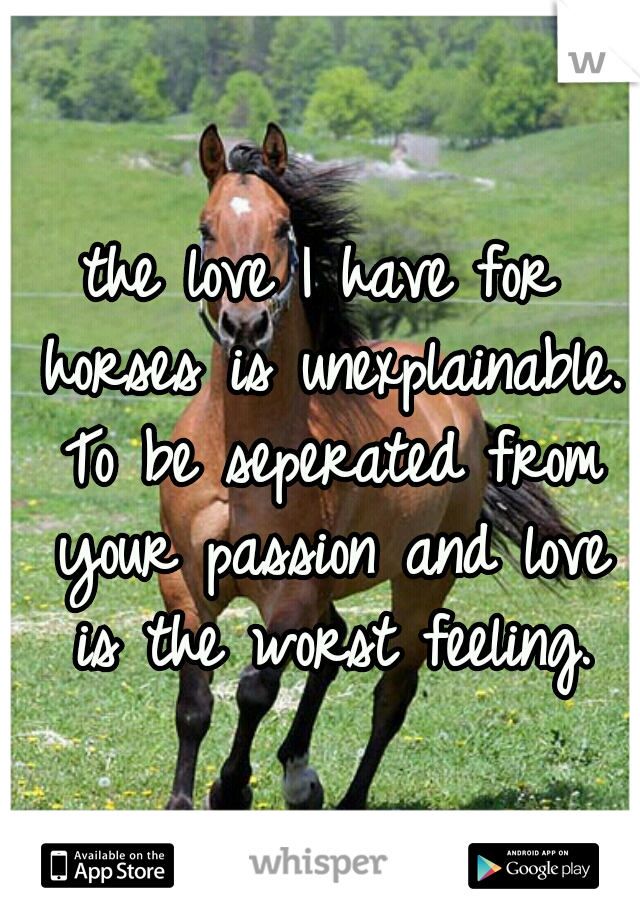 the love I have for horses is unexplainable. To be seperated from your passion and love is the worst feeling.