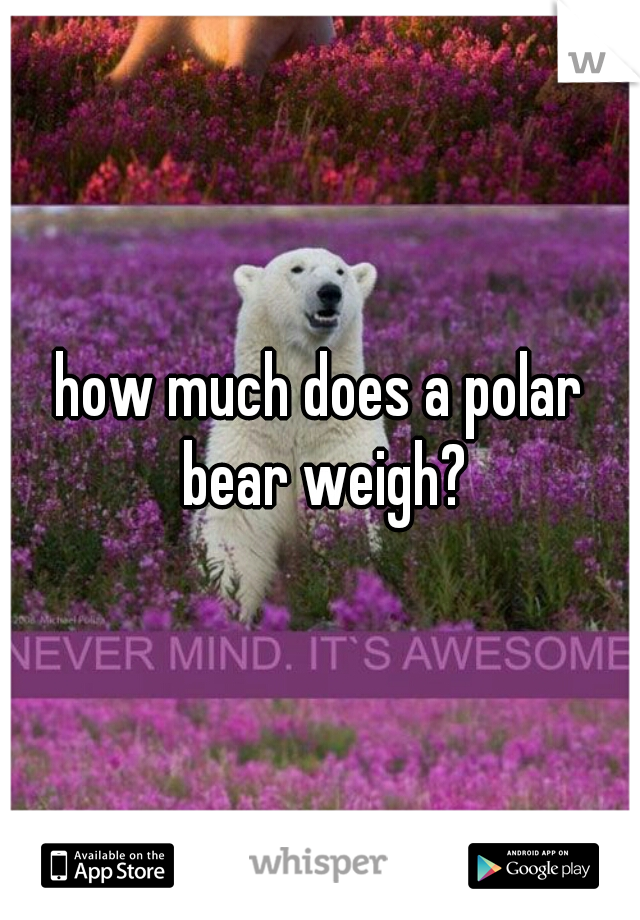 how much does a polar bear weigh?